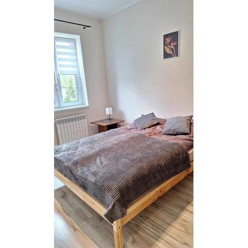 Sunny Apartment Ilawa