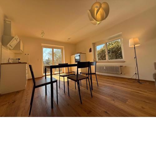 Sunny Apartment in Graz Free Parking