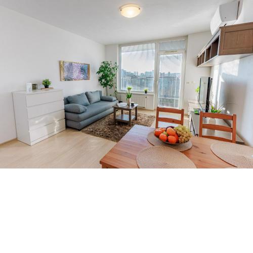 Sunny Apartment with amazing Terrace on the 13th floor near City Center