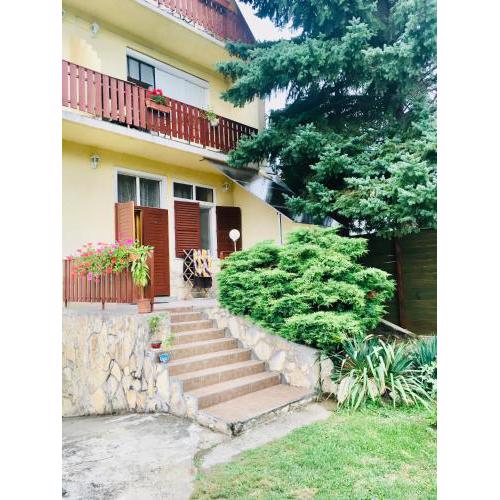 Sunny & Green Apartment