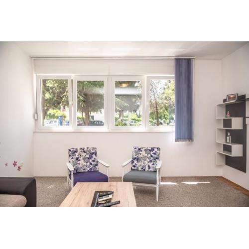 Sunny & Spacious, 2 BR apartment with free parking