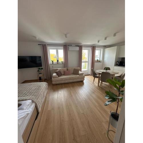 Sunny Studio Apartament & private parking