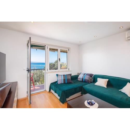 Sunny Vista Apartment