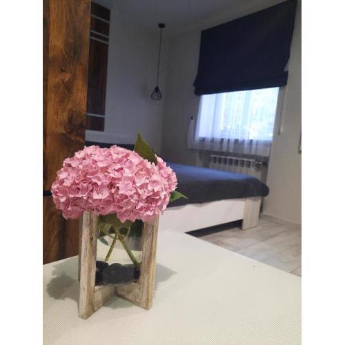 super apartment пр. Кирова (А.Поля) г.Днепр