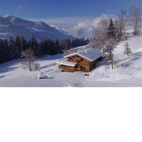 Superior Chalet Brandleit