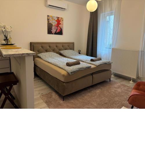 Suzannah Apartment by the Danube