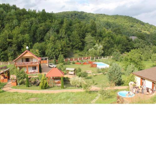 Svit Sontsya