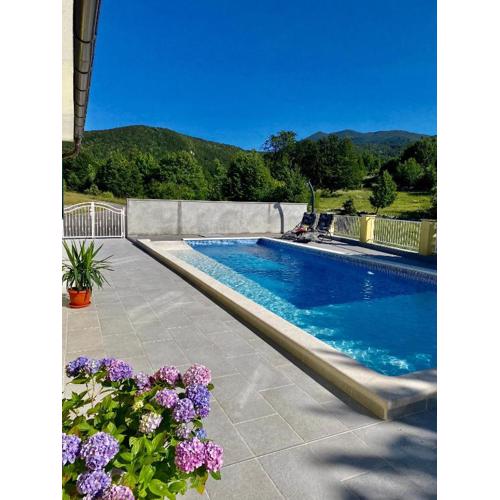 Swimming pool house Šaulja- adapted to the disabled