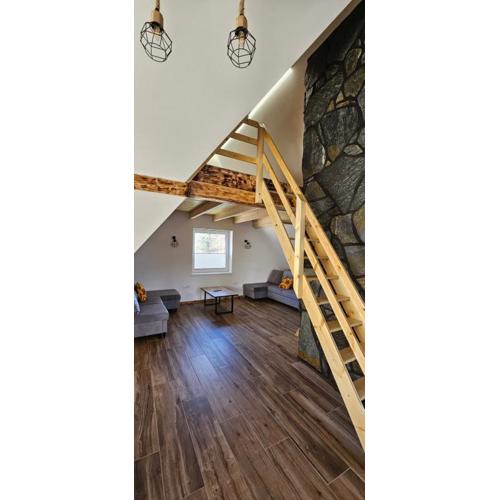 Sylwia Aparthouse - Biały Dunajec