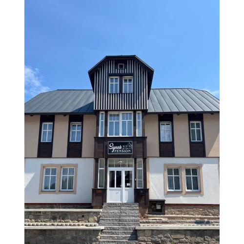 SYNEK Pension