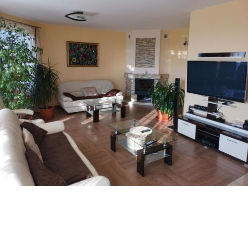 Synergy House