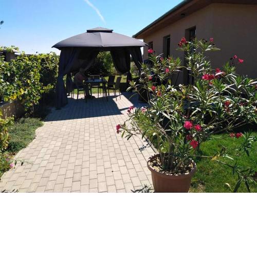 Szederszem Apartman