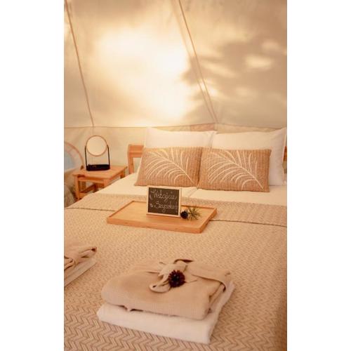 Szyszki z Lasu - Glamping
