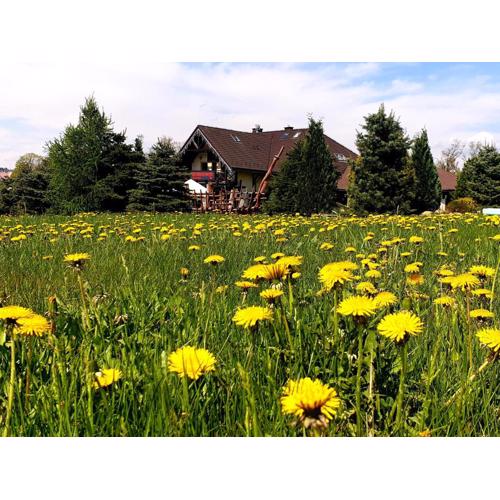 Tajemniczy Ogród Szczytna - Bed & Breakfast