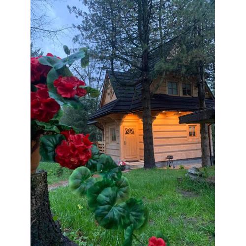 Tatra Wolf House