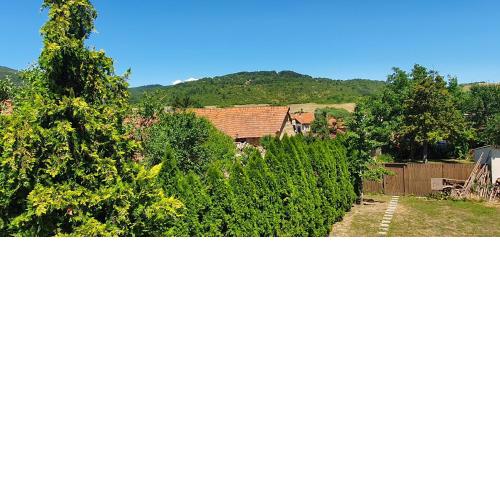 Terezia II apartman