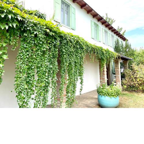 TerraVino Retreat at Lake Balaton