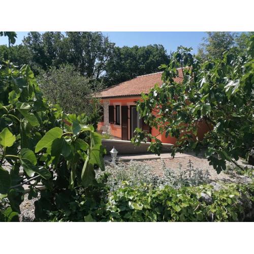 The Forest House Krk 2