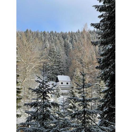 The House Next to the Forest - LAKMAT