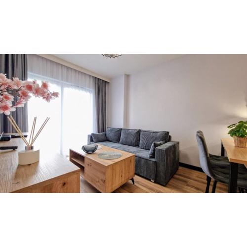 The Luxury Manufaktura Loft Free Parking