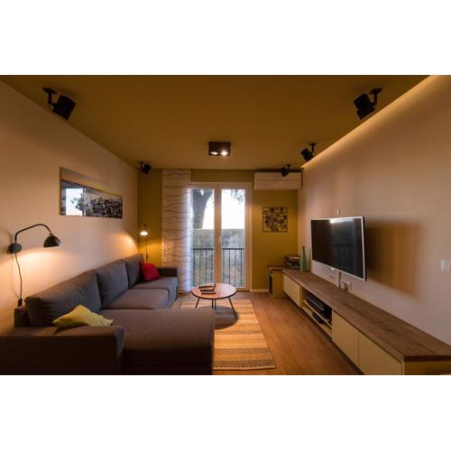 The Wall Apartment
