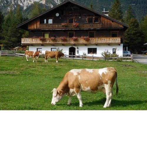 Thoamlhof