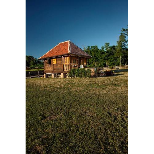 Tiny house AMBAR