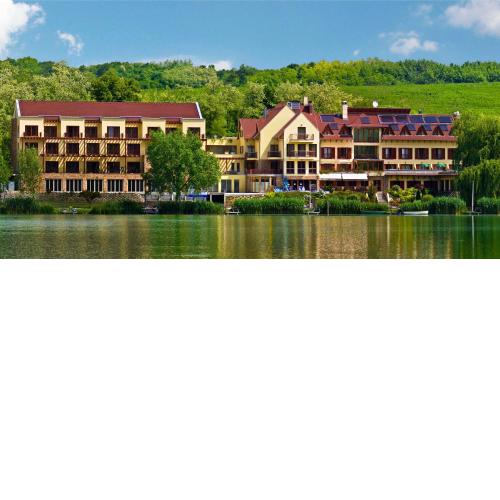 Tó Wellness Hotel