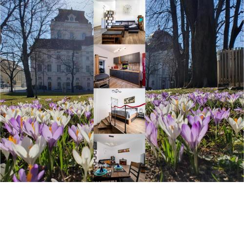 Top at Park, das luxuriöse Appartement mit Terrasse und Parkplatz im Herzen von Graz