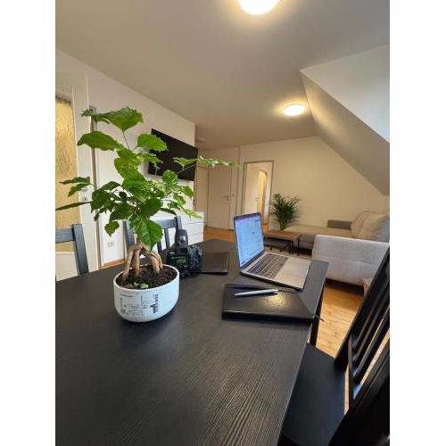 Top Floor Apartment near Palace Schönbrunn