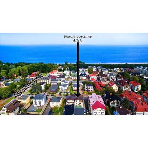 Top location Alicja klebba