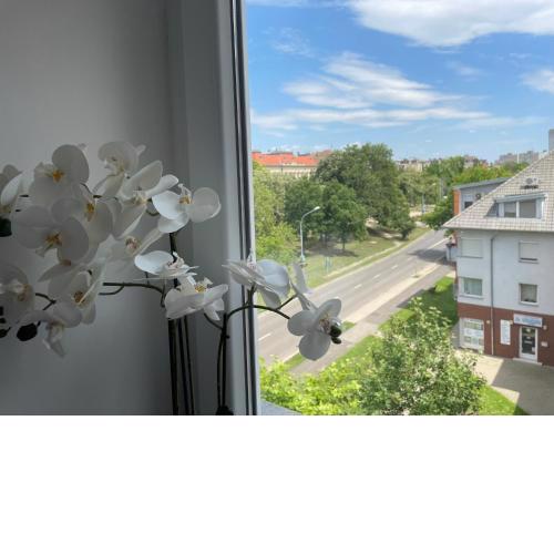 Torony Apartman Hódmezővásárhely
