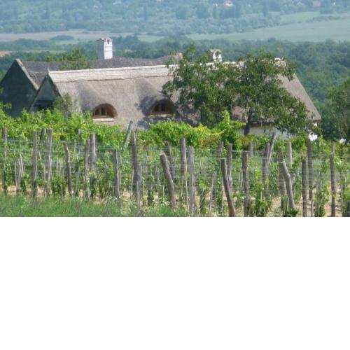 Traditional cottage at Lake Balaton