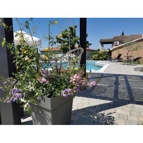 Traumhaftes Apartment mit Salzwasserpool, Willkommendrink, Grillbereich - bei Rovinj