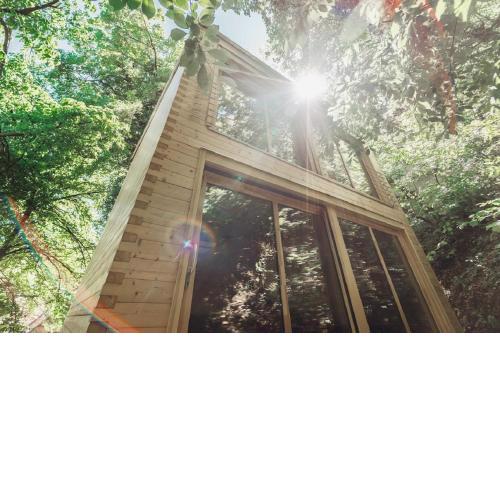 Treebox Noszvaj