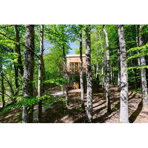 Treehouse Lika1
