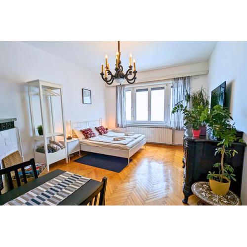 TRUE ZAGREB centrally located & spacious apartment