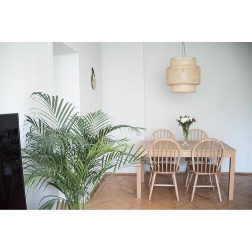 TS City Centre Apartment