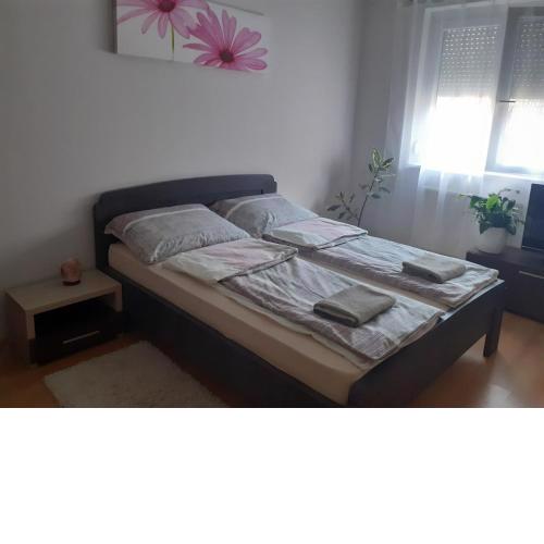 Tukán Apartman Hajdúszoboszló