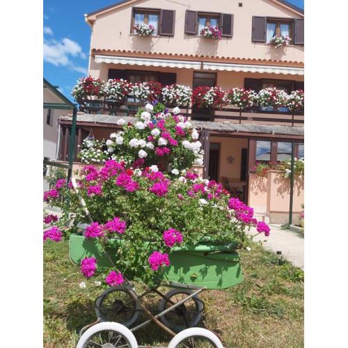 Two bedroom apartment Nela