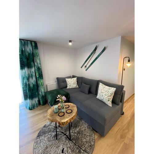 U Gazdy - apartament z ogrodem i tarasem , przy Gondoli