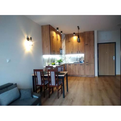 Uniejów Apartament