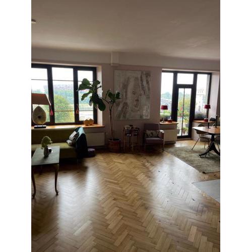 Unique, 3 bedroom apartment in the city center