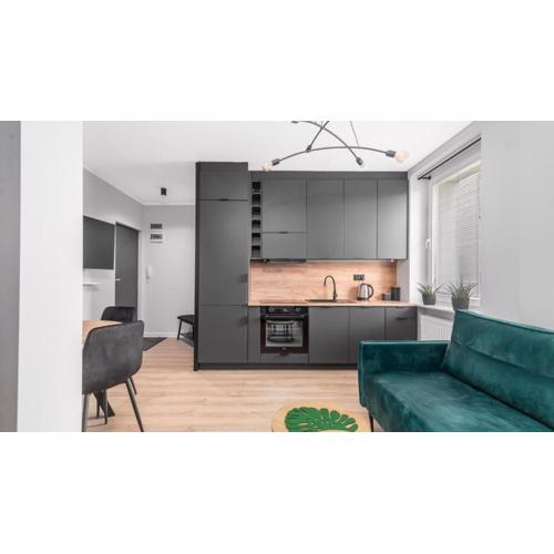 Unique Apartments - Śląska 55
