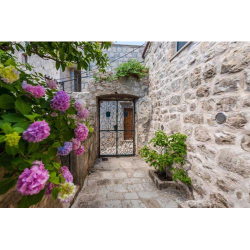 Unique Cavtat Center Apartment