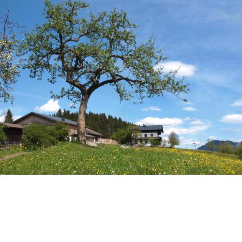 Unterhofgut