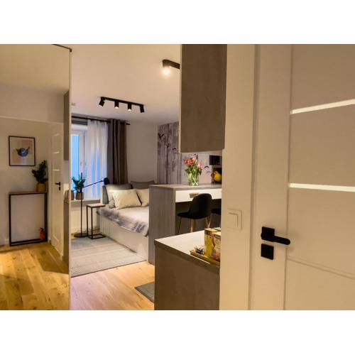 URBAN APARTMENTS Dluga 40 No 11, FREE PUBLIC PARKING, Self CHECK-IN