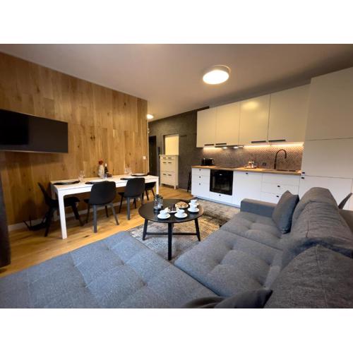URBAN APARTMENTS Premium No 3, FREE PRIVATE PARKING, Self CHECK-IN