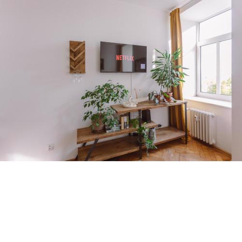 Urban lifestyle Brno