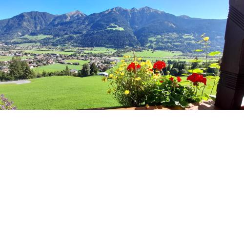 Urlaub am Krausberghof, Apartment mit Balkon und Parkplatz, Sauna und Infrarotkabine, kostenfreie Kaffeekapseln, 6 Fahrminuten zur Alpentherme Gastein und zur Schlossalmbahn, Spielplatz